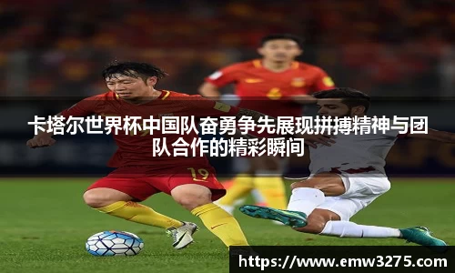 米兰体育官网